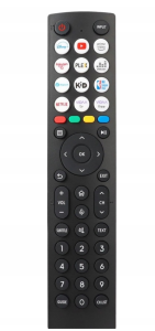 Pilot do telewizora 58E61KT EN2B36H ERF2R36H