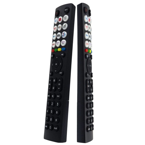 Pilot do telewizora 58E61KT EN2B36H ERF2R36H